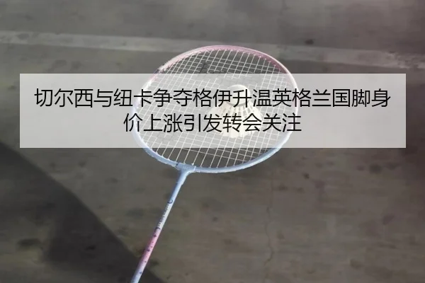 切尔西与纽卡争夺格伊升温英格兰国脚身价上涨引发转会关注