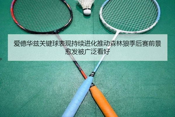 爱德华兹关键球表现持续进化推动森林狼季后赛前景愈发被广泛看好