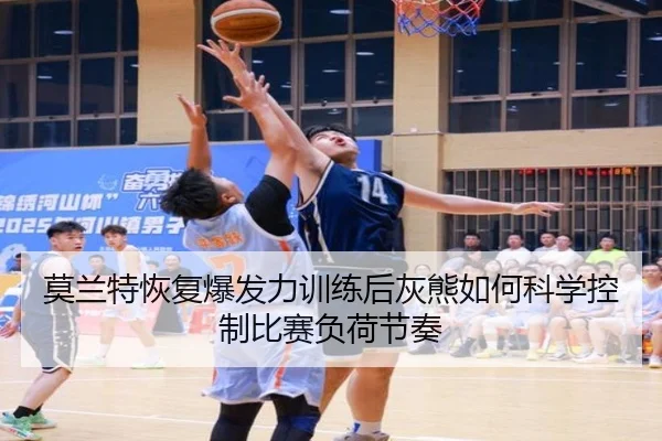 img_1785139731336_841_1_862.jpg